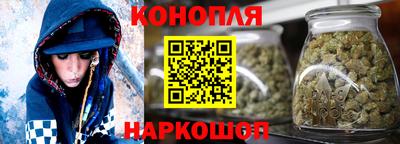 стафф Лесосибирск