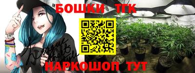 стафф Лесосибирск