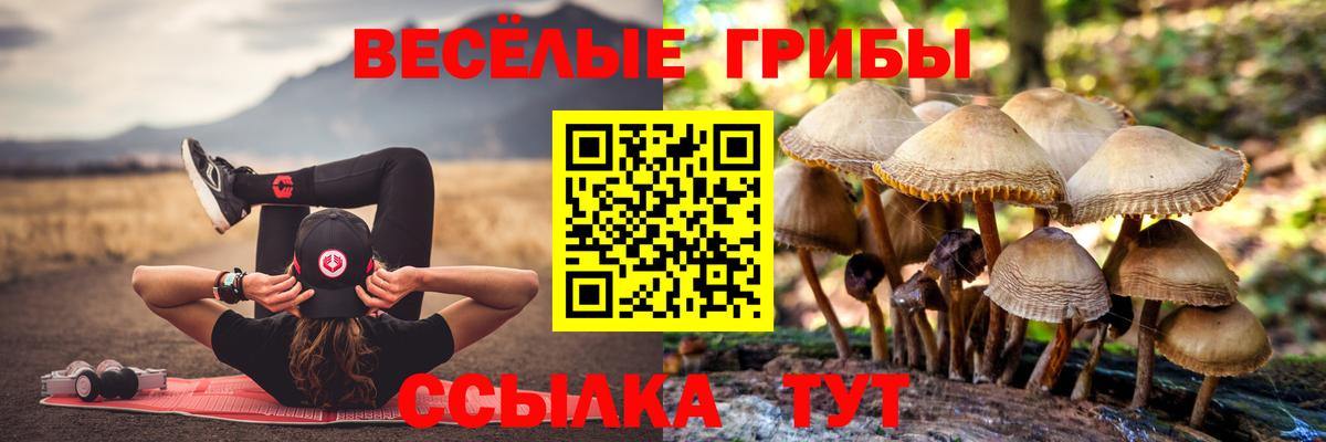 Галлюциногенные грибы Magic Shrooms Грозный